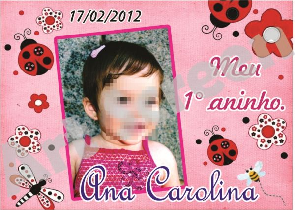 Imã Joaninha ( diversos modelos do tema)